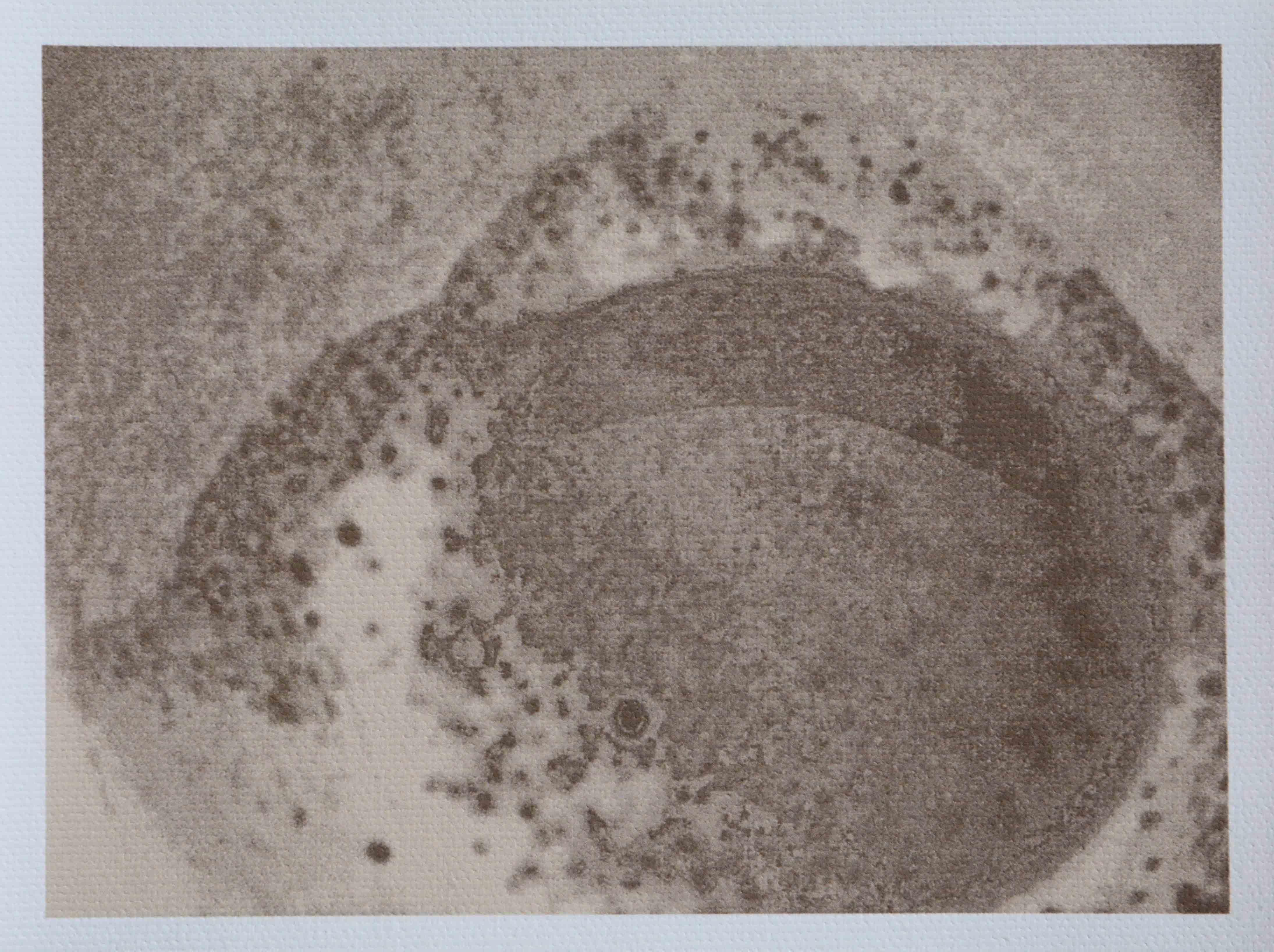 The Universe in My Tea-cup, [Set of 30], 2015, [10.25 x 8.5 inches - framed]