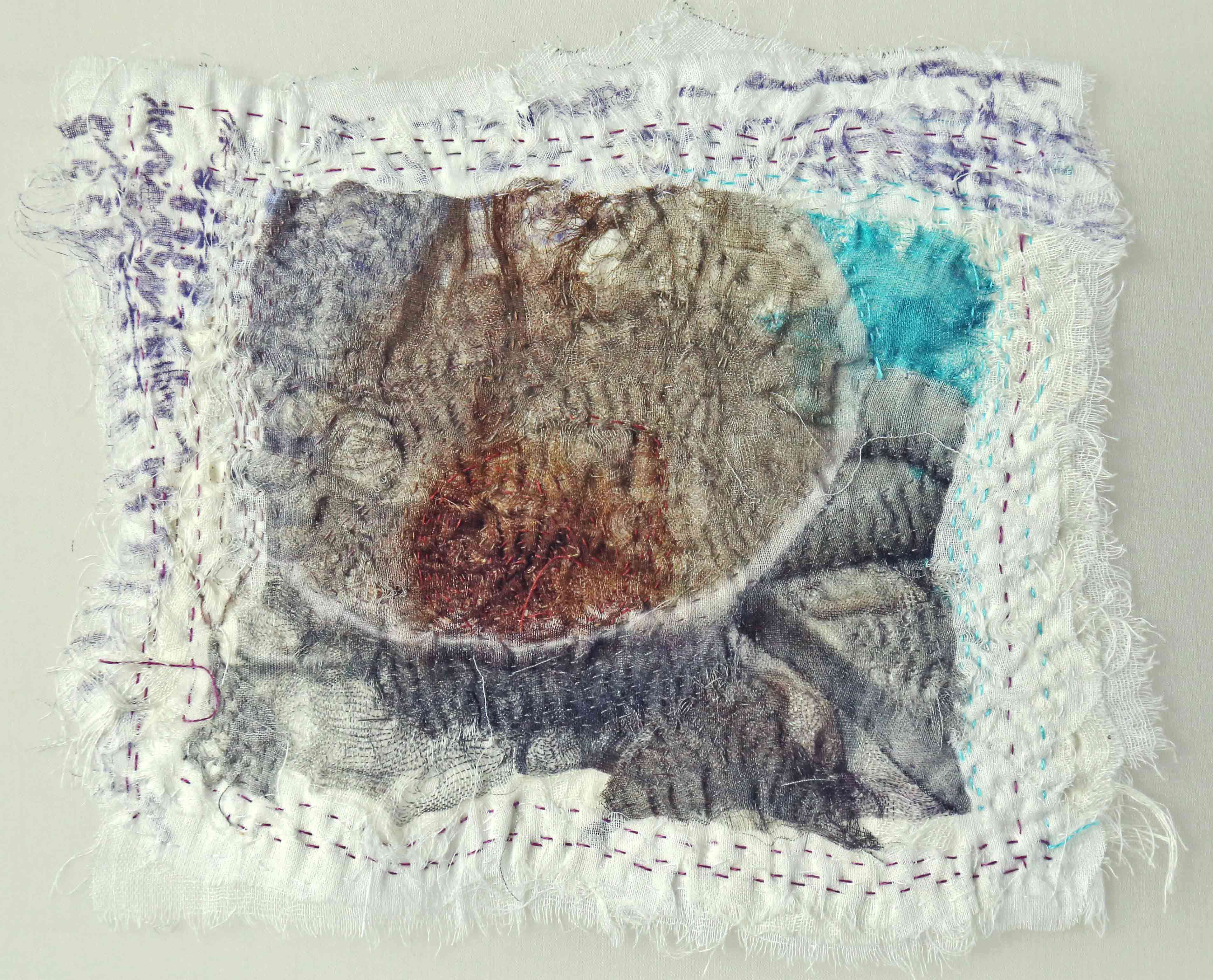 Dregs in Your Tea-cup I, 2010 [6.5 X 7.5 inches - unframed] Materials: cotton voile, cotton floss, cotton-polyester thread, Technique: photography, digital printing, tearing, layering, stitching, embroidery