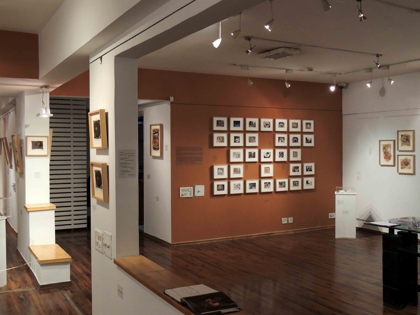 Image 5 : Display image of The Piercing Needle, Photo credit: gopika nath