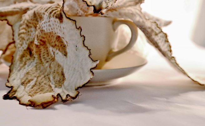 Patterns of Transformation 2015, [boxed], Materials: cotton fabrics, cotton-polyester thread Technique: hand and machine embroidery, cutting, layering, staining with tea-leaves, burning